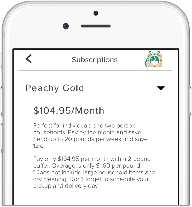 COVID-19 Help for Laundries and Dry Cleaners Flexible Subscription options